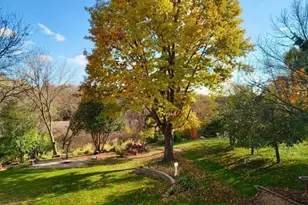 15335 67th Ave N, Maple Grove, MN 55311 - Photo 49