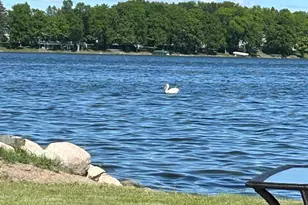 17938 Dogwood Loop, Grey Eagle, MN 56336 - Photo 37