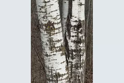 Tbd 50th Avenue, Ogilvie, MN 56358 - Photo 25