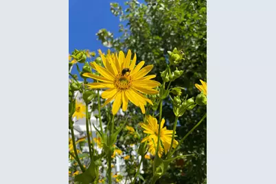 4231 Nokomis Avenue S, Minneapolis, MN 55406 - Photo 73