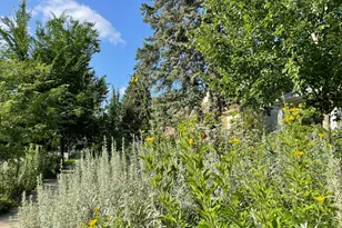 4231 Nokomis Ave S, Minneapolis, MN 55406 - Photo 67