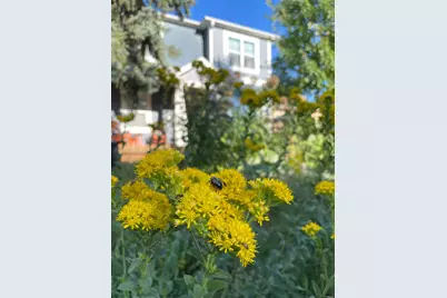 4231 Nokomis Avenue S, Minneapolis, MN 55406 - Photo 61