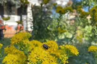 4231 Nokomis Ave S, Minneapolis, MN 55406 - Photo 61