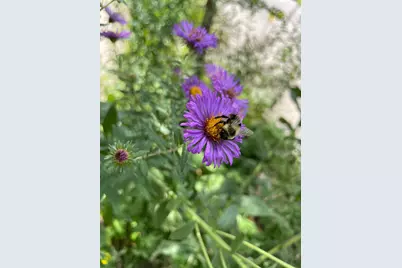 4231 Nokomis Avenue S, Minneapolis, MN 55406 - Photo 63