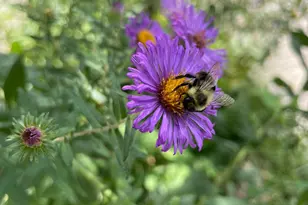 4231 Nokomis Ave S, Minneapolis, MN 55406 - Photo 63