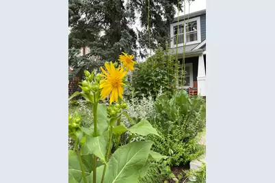 4231 Nokomis Avenue S, Minneapolis, MN 55406 - Photo 59