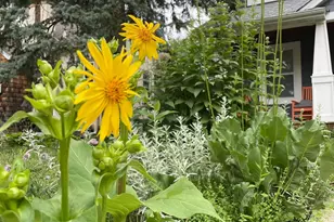 4231 Nokomis Ave S, Minneapolis, MN 55406 - Photo 59