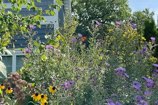 4231 Nokomis Ave S, Minneapolis, MN 55406 - Photo 65