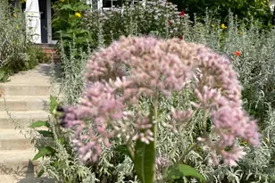 4231 Nokomis Ave S, Minneapolis, MN 55406 - Photo 69