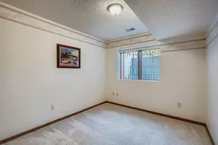 7316 Janero Ave S, Cottage Grove, MN 55016 - Photo 19