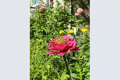 7625 Teal Road, Woodbury, MN 55125 - Photo 39