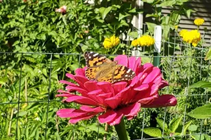 7625 Teal Rd, Woodbury, MN 55125 - Photo 39