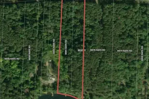 8884 Raps Rd, Cook, MN 55723 - Photo 45