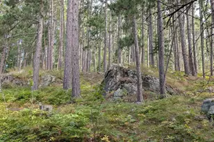 8884 Raps Rd, Cook, MN 55723 - Photo 43