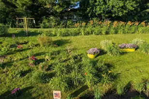 1013 Eagle Vista Ln, Lake City, MN 55041 - Photo 11