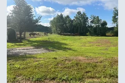 24249 Nelson Road, Webster, WI 54893 - Photo 5