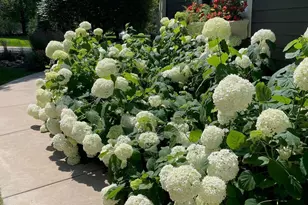 23400 Woodland Ridge Dr, Lakeville, MN 55044 - Photo 87