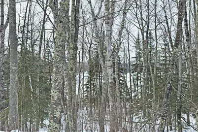 13398 Hart Lake Road, Goodland, MN 55742 - Photo 57