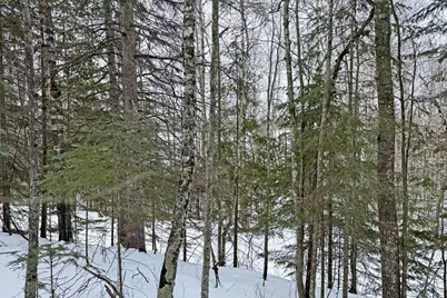 13398 Hart Lake Road, Goodland, MN 55742 - Photo 55