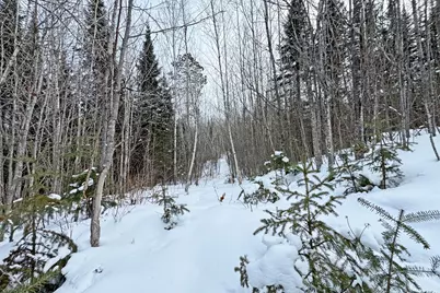 13398 Hart Lake Road, Goodland, MN 55742 - Photo 49