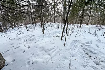 13398 Hart Lake Road, Goodland, MN 55742 - Photo 51