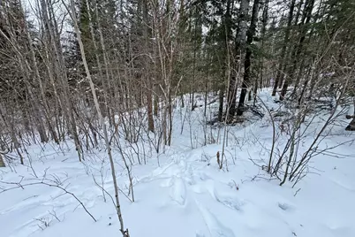 13398 Hart Lake Road, Goodland, MN 55742 - Photo 41