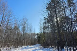 Tbd County Road 43, Willow River, MN 55795 - Photo 1