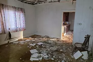 87387 245th St, Albert Lea, MN 56007 - Photo 37