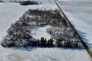 87387 245th St, Albert Lea, MN 56007 - Photo 5