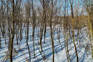 87387 245th St, Albert Lea, MN 56007 - Photo 27