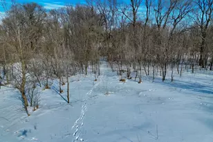 87387 245th St, Albert Lea, MN 56007 - Photo 19