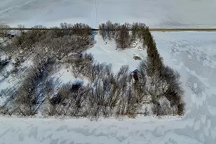 87387 245th St, Albert Lea, MN 56007 - Photo 7