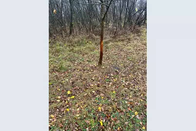 87387 245th Street, Albert Lea, MN 56007 - Photo 31