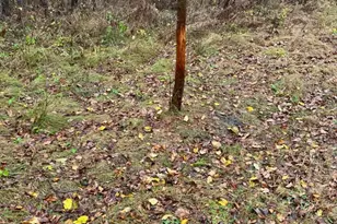 87387 245th St, Albert Lea, MN 56007 - Photo 31