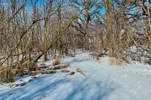 87387 245th St, Albert Lea, MN 56007 - Photo 23