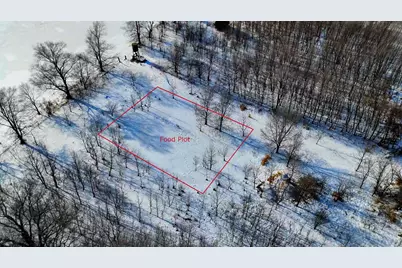 87387 245th Street, Albert Lea, MN 56007 - Photo 29