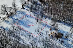 87387 245th St, Albert Lea, MN 56007 - Photo 29