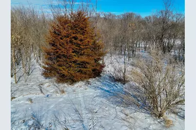 87387 245th Street, Albert Lea, MN 56007 - Photo 15