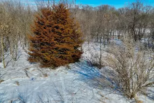 87387 245th St, Albert Lea, MN 56007 - Photo 15