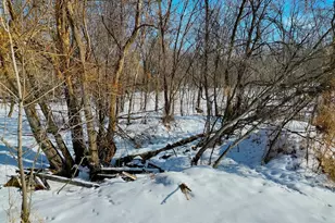 87387 245th St, Albert Lea, MN 56007 - Photo 25