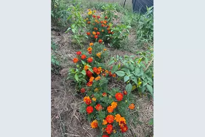 37728 Hawthorne Avenue, North Branch, MN 55056 - Photo 29