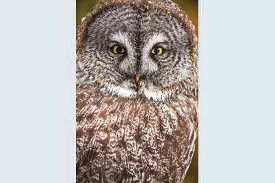 2437 Hwy 3, Two Harbors, MN 55616 - Photo 23