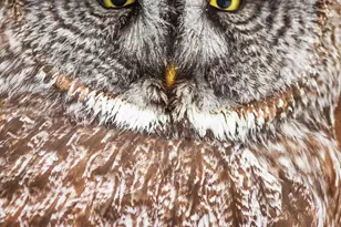 2437 Hwy 3, Two Harbors, MN 55616 - Photo 23