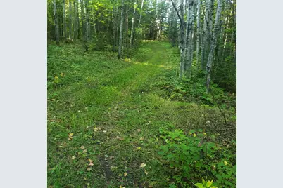 Tbd Gamma Rd, Kabetogama, MN 56669 - Photo 5