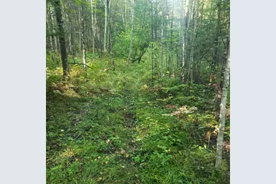 Tbd Gamma Rd, Kabetogama, MN 56669 - Photo 3