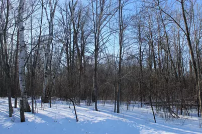 91Xx 200th Street, Milaca, MN 56353 - Photo 7