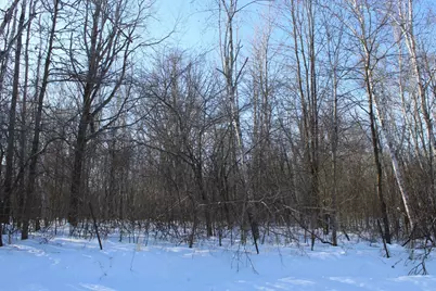 91Xx 200th Street, Milaca, MN 56353 - Photo 5