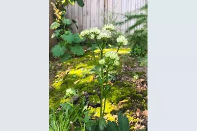 2717 Glenwood Avenue, Minneapolis, MN 55405 - Photo 61