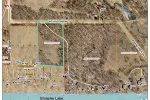 Tbd Blanche Creek Rd, Battle Lake, MN 56515 - Photo 1