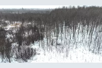 Tbd 51st Street SW, Baudette, MN 56623 - Photo 19